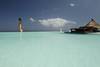 Reunion - Saint Denis, Hôtel Palm Hotel & Spa 4*