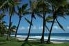 Plage  île de la Réunion - Tropic
