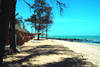 séjour Senegal : plage - lookéa premium royal baobab
