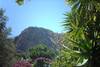 panarea nature