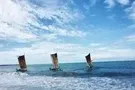 Sri Lanka - Colombo, Hôtel Rani Beach Hotel 3*