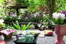 Thailande - Bangkok, Hôtel Club Coral Saveurs culinaires 3*