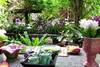 Thailande