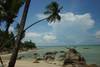 Plage - Napasai