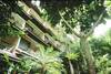 batiment - Serene Resort Phuket
