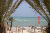 plage - dahlia