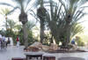 . - Vincci Djerba Resort