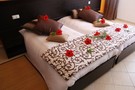 Chambre Club Carribbean World Vénus Beach 4*