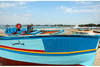 Plage - Laico Hammamet