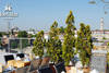 Turquie - Istanbul, Hôtel Klas 4*