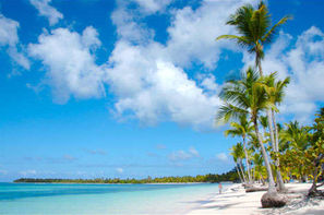 Republique Dominicaine - Punta Cana, VOL PARIS/PUNTA CANA A/R