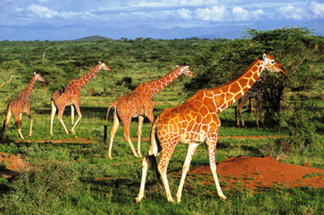 Afrique Du Sud-Johannesbourg, Autotour Couleurs d'Afrique du Sud
