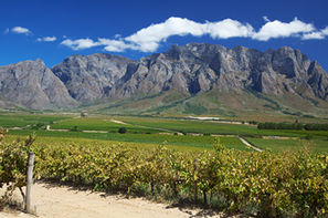 Afrique Du Sud-Le Cap, Autotour Du Cap aux Parcs d'Afrique du Sud