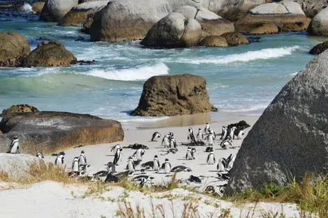 vol+hotel Autotour AUTOTOUR CAPE TOWNS & SAFARIS Afrique Du Sud Le Cap