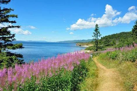 Canada : Autotour Des Chutes du Niagara au Rocher Percé - Éclaireur - SUP