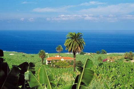 Canaries-Tenerife, Autotour Pack Liberté Hôtel Vincci Tenerife 4*