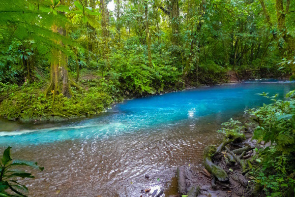 Costa Rica : Autotour Faune & Flore du Costa Rica