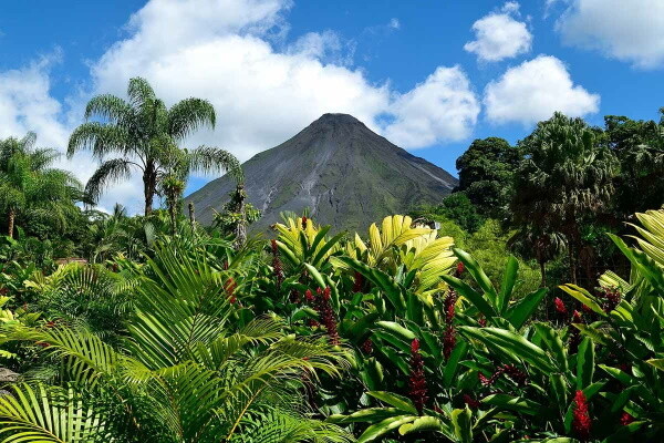 Costa Rica : Autotour Richesses naturelles – Extension Pacifique