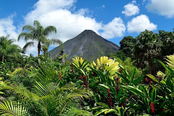 Costa Rica : Autotour Richesses Naturelles et Jungle de Tortuguero