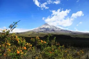 Equateur-Quito, Autotour Découverte de l'Equateur 3*