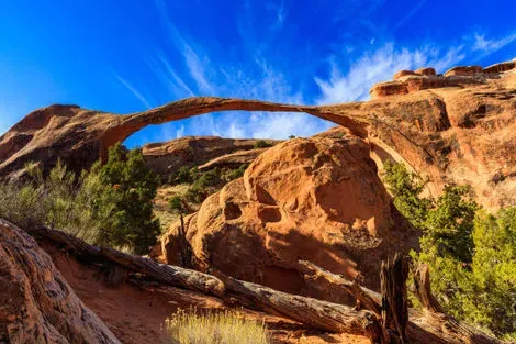 vol+hotel Autotour ROCHEUSES & YELLOWSTONE - STD Etats-Unis Las Vegas