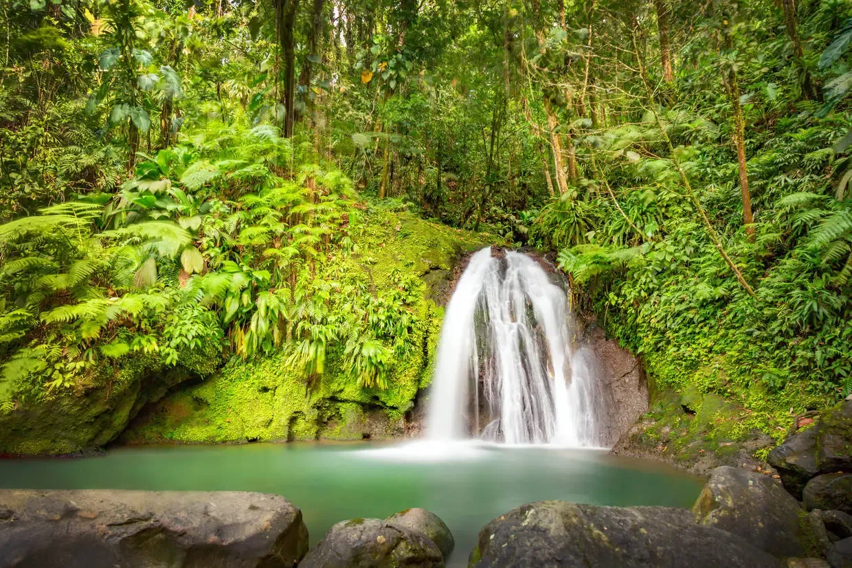 Guadeloupe : Autotour Les îles de Guadeloupe en liberté
