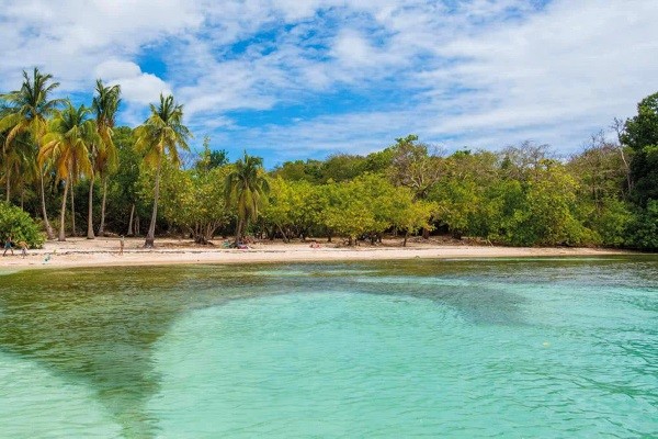 Guadeloupe : Autotour 3 Iles, 3 Ambiances - Alamanda Jaune