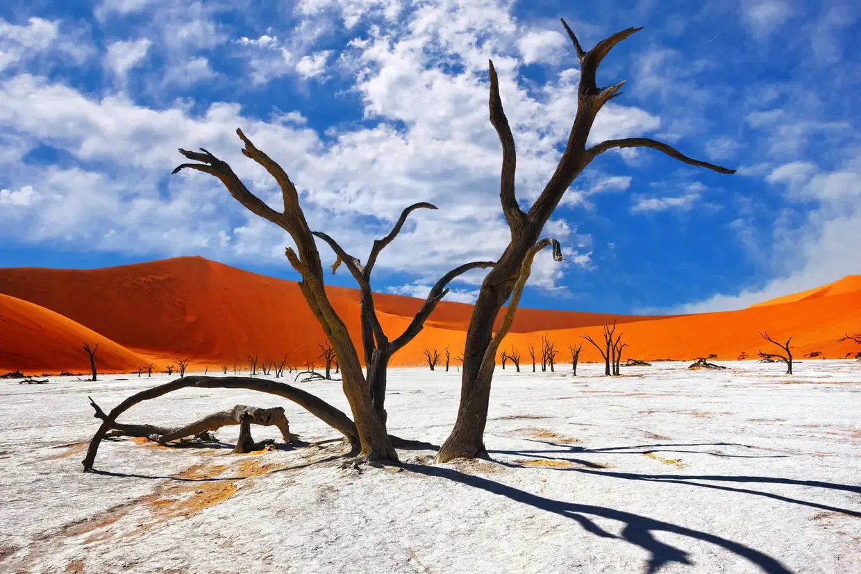 Namibie : Autotour La Namibie Sauvage premium