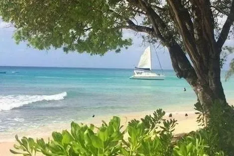 BARBADE-BRIDGETOWN, Hôtel Mullins Grove Luxury Apartments 4*Sup