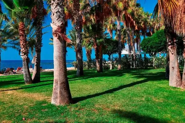 Chypre : Hôtel Louis Phaethon Beach