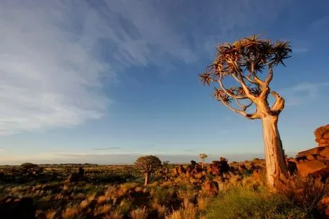 Afrique Du Sud-Johannesbourg, Circuit Civilisations + Extensions Parcs Chobe + Victoria Falls 4*