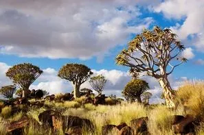 Afrique Du Sud-Johannesbourg, Circuit Découverte de l’Afrique du Sud & extension au Cap