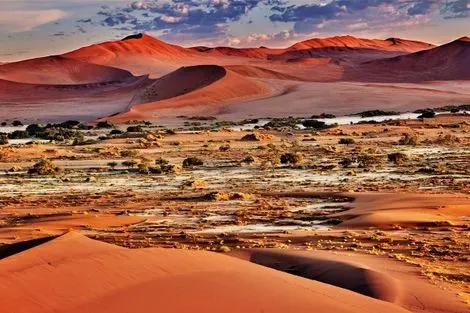 Afrique Du Sud-Johannesbourg, Circuit Safaris & Dunes d'Afrique Australe