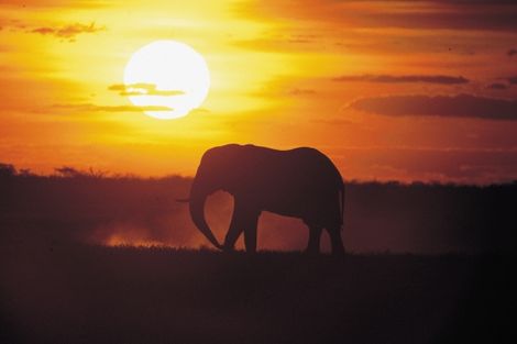 Afrique Du Sud-Johannesbourg, Circuit Civilisations + Extension Mozambique