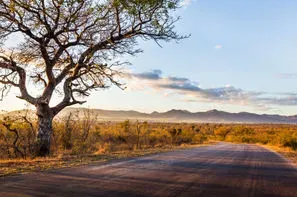Afrique Du Sud-Johannesbourg, Circuit Safari Dream & Chutes Victoria