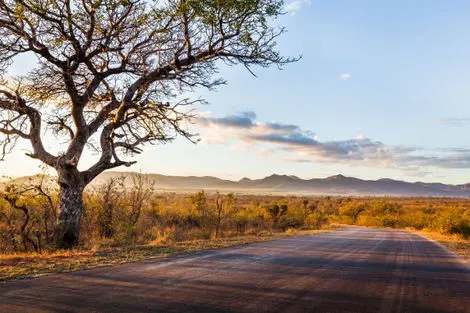Afrique Du Sud-Johannesbourg, Circuit Safari Dream & Chutes Victoria