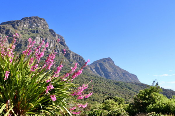 Afrique Du Sud : Circuit Du Parc Kruger au Cap de Bonne Espérance