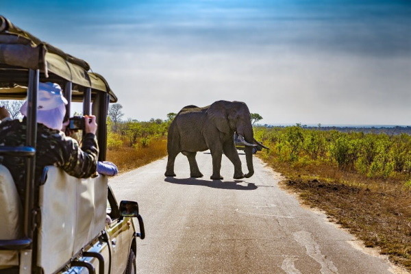 Afrique Du Sud : Circuit I Love Afrique du Sud