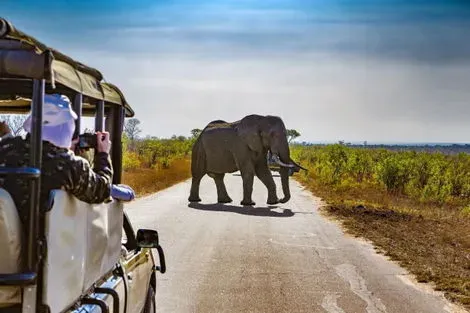vol+hotel Circuit CIRCUIT I LOVE AFRIQUE DU SUD Afrique Du Sud Johannesbourg