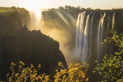 vol+hotel Circuit Terres d'Afrique Australe : de Kruger à Chobe Afrique Du Sud Johannesbourg