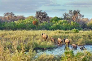 Afrique Du Sud-Johannesbourg, Circuit Safari Dream