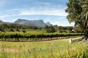 Afrique Du Sud-Johannesbourg, Circuit Indispensable Afrique Du Sud