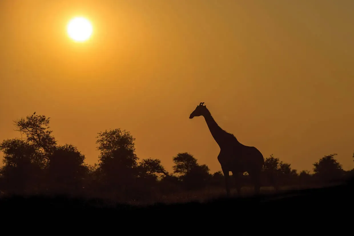 Afrique Du Sud : Circuit Essence d'Afrique du Sud et extension aux Chutes Victoria