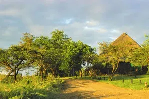Afrique Du Sud-Le Cap, Circuit Premier Regard Afrique du Sud
