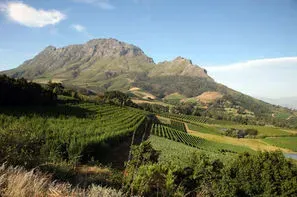 Afrique Du Sud-Le Cap, Circuit Les Inoubliables de l'Afrique du Sud