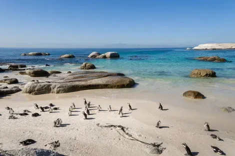 Afrique Du Sud : Circuit Au coeur de l'Afrique du Sud