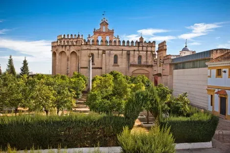 vol+hotel Circuit CIRCUIT CORALIA TRESORS D'ANDALOUSIE Andalousie Malaga