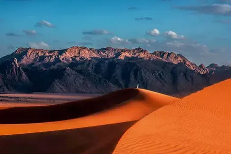 Arabie Saoudite : Circuit Couleurs et Richesses de l'Arabie Saoudite (Hôtels standards)