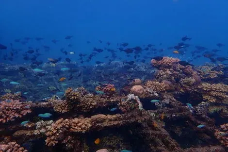 vol+hotel Circuit IMMERSION A BALI & KOMODO VARIANTE TANJUNG BENOA 18J/15N - Limité à 12 pers. Bali Denpasar