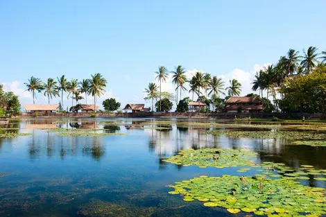 Bali : Circuit Joyaux de Bali, Munduk